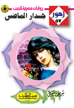 جدار الماضي